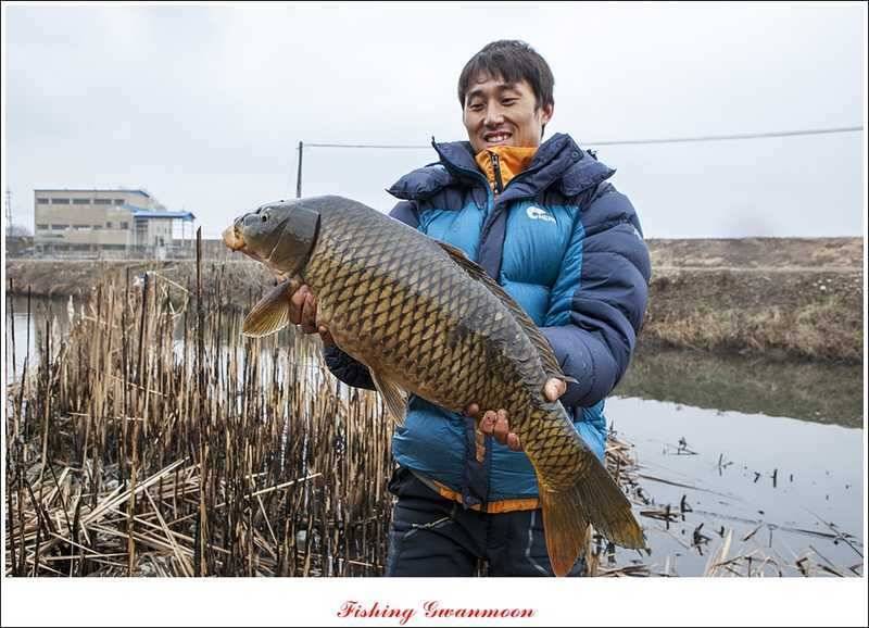 충주괴산권 조황 소식 (조황조행기 - 특파원조황)