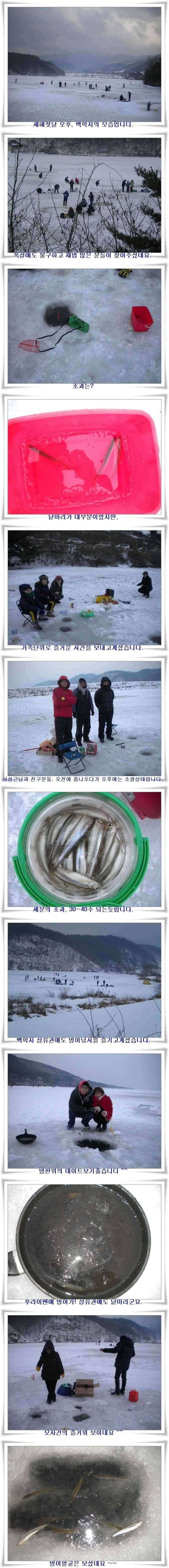 군위빙어대박터들 (조황조행기 - 특파원조황)