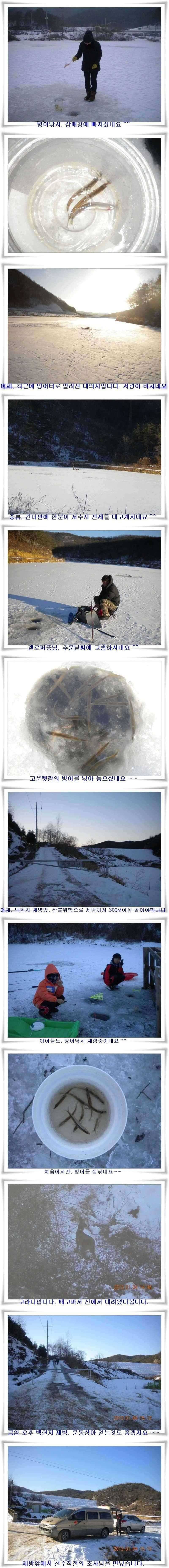 군위빙어대박터들 (조황조행기 - 특파원조황)