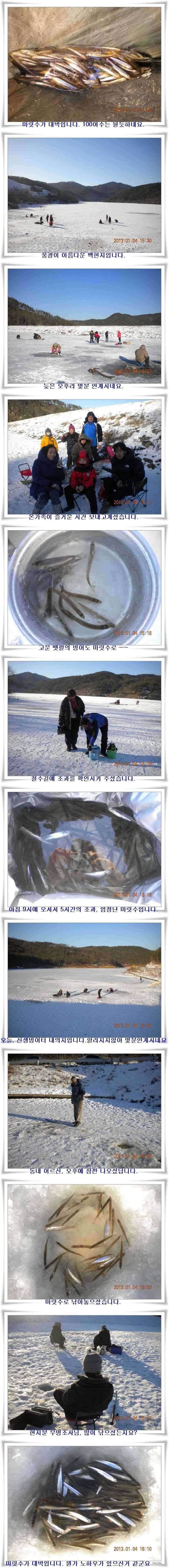 군위빙어대박터들 (조황조행기 - 특파원조황)