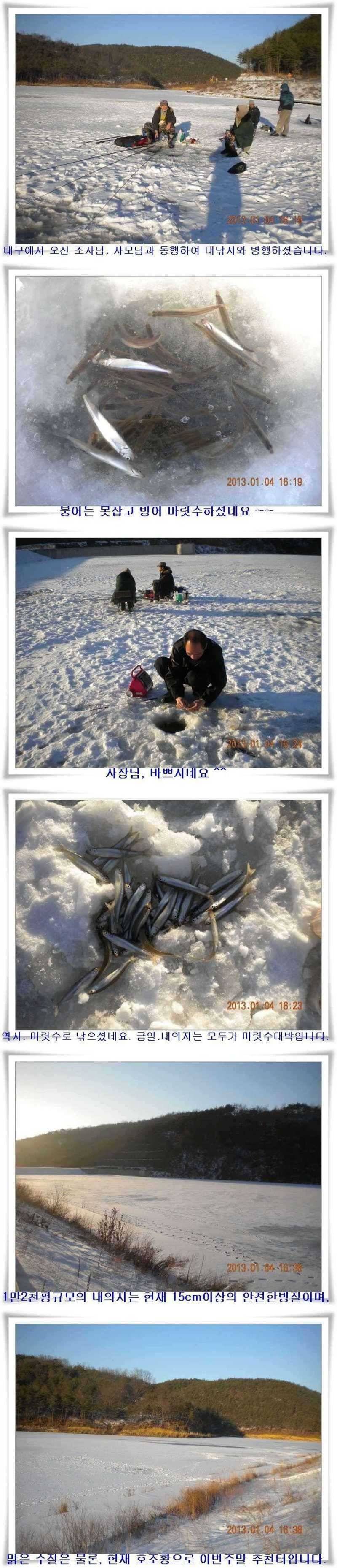 군위빙어대박터들 (조황조행기 - 특파원조황)