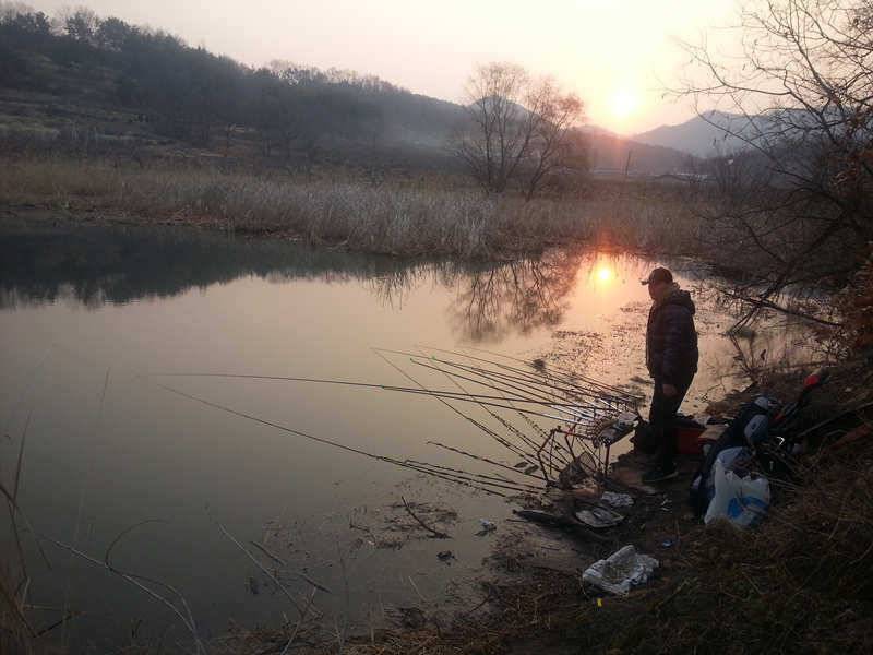 경산권 주중 조황정보 (조황조행기 - 특파원조황)