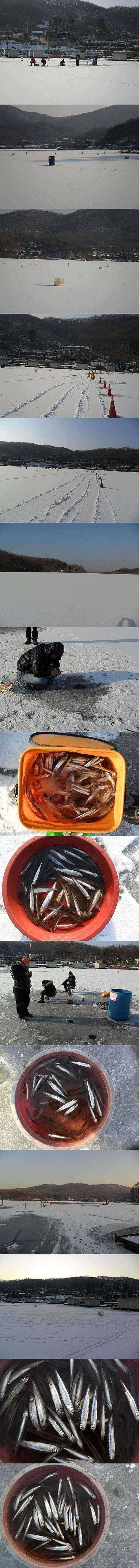 두창지 빙어조황 좋습니다 (조황조행기 - 특파원조황)