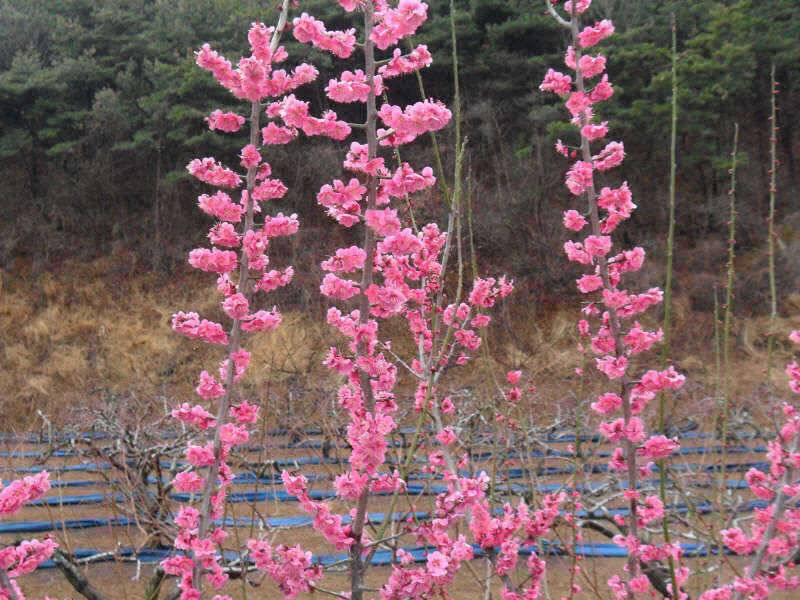 대박의 손맛 (조황조행기 - 특파원조황)