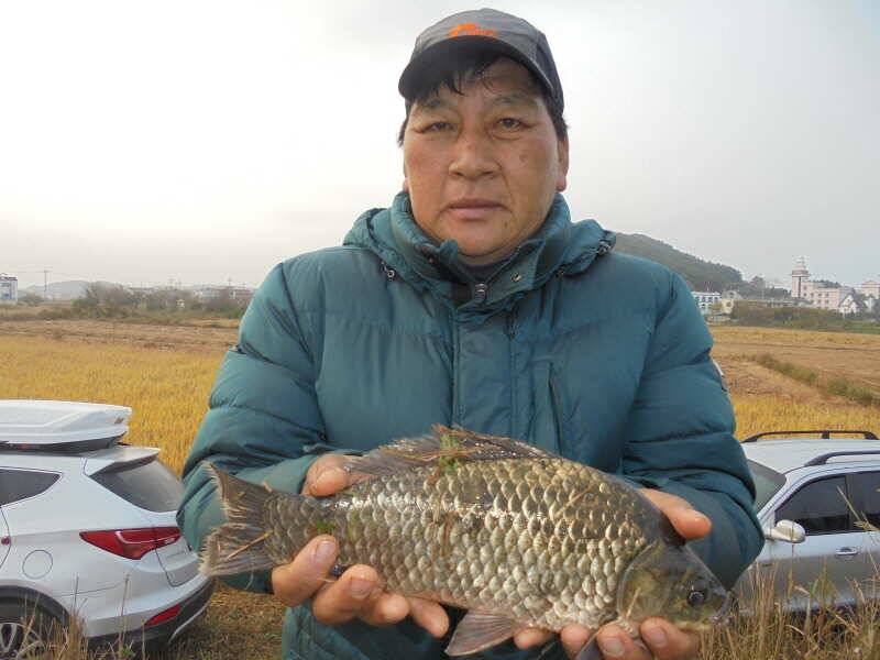 1029 안면도권 저수지 주말 조황 (조황조행기 - 특파원조황)