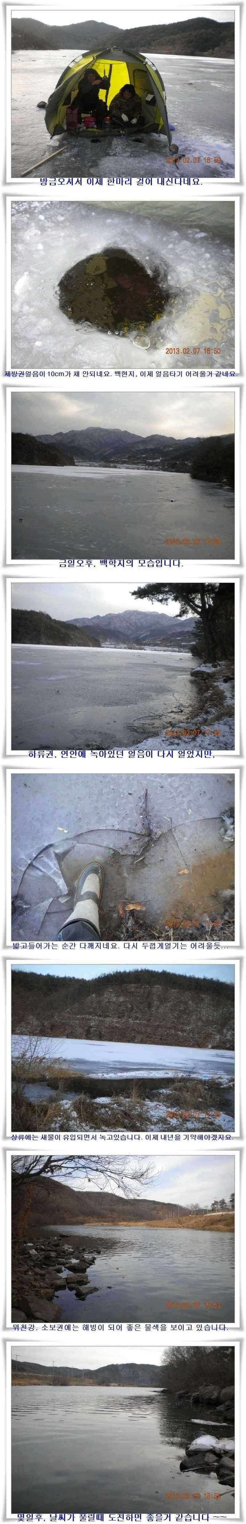 설연휴군위빙어낚시는 내의지에서 (조황조행기 - 특파원조황)