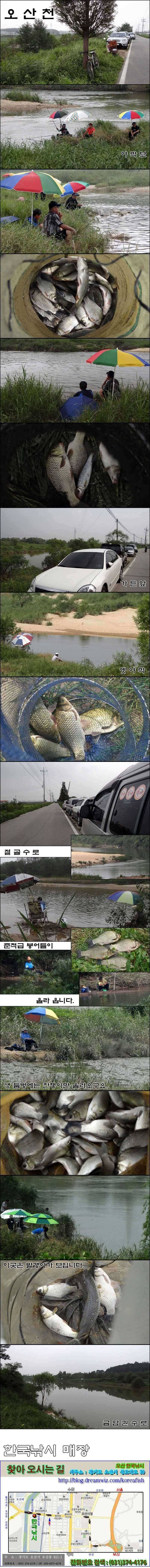진위천 상류권 회화리보 조황 (조황조행기 - 특파원조황)