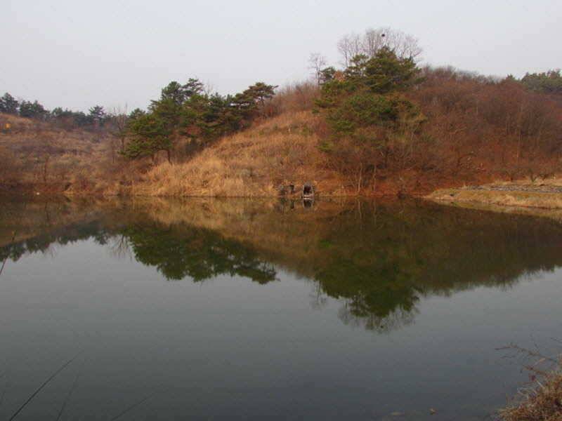 풍성한 3월4째주 조황입니다 (조황조행기 - 특파원조황)