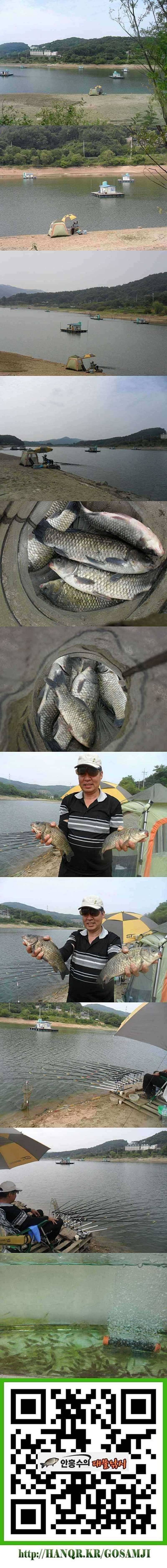 덕산지노지에서 올라온 대물들 (조황조행기 - 특파원조황)