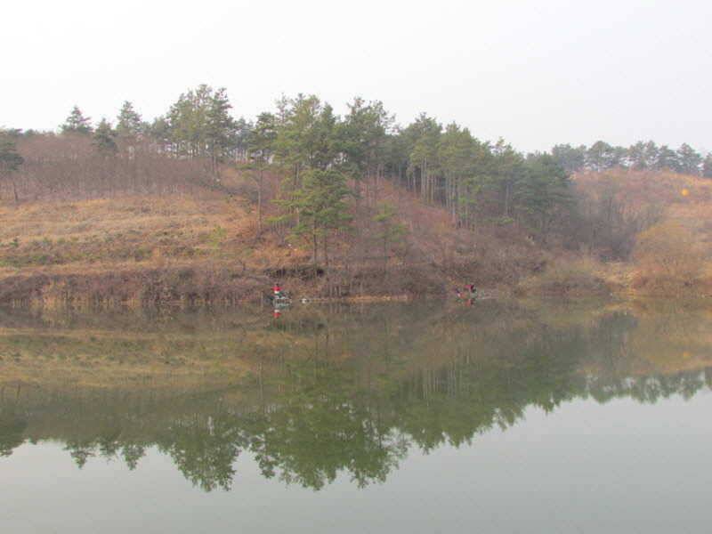 풍성한 3월4째주 조황입니다 (조황조행기 - 특파원조황)