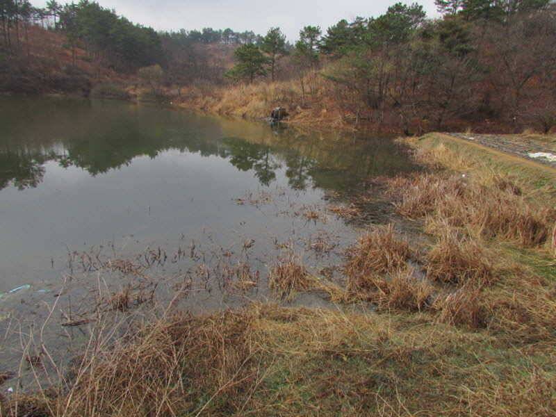 풍성한 3월4째주 조황입니다 (조황조행기 - 특파원조황)