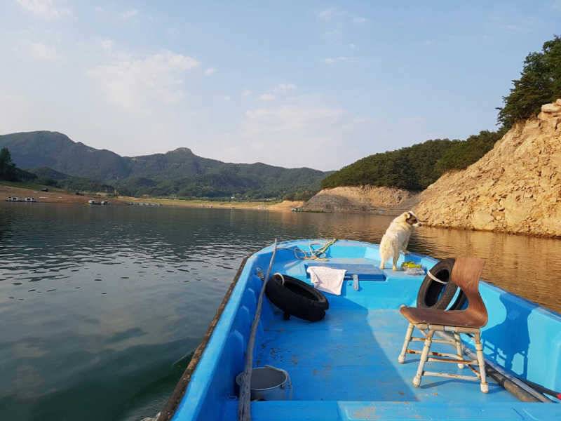 서운리 키로급장어 소식입니다 (조황조행기 - 특파원조황)