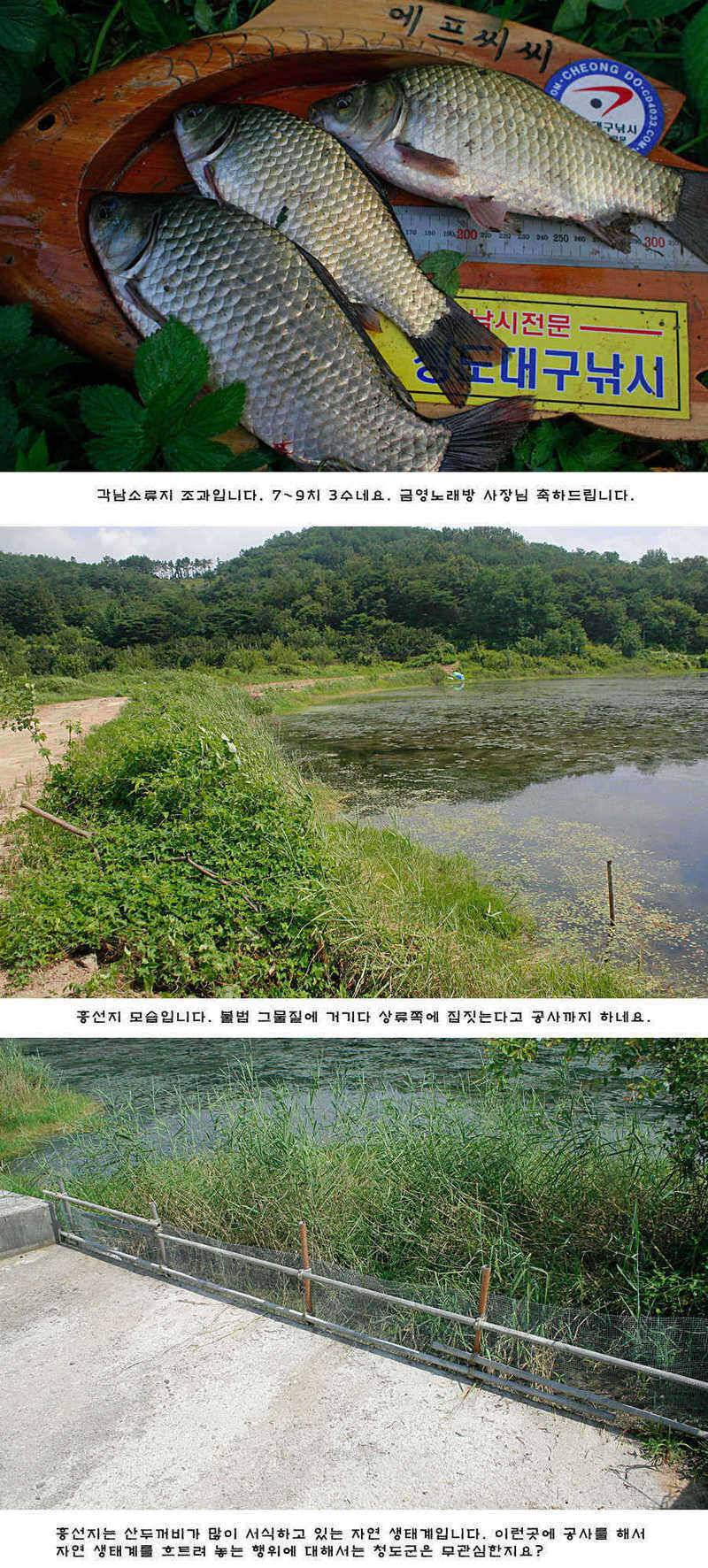 청도권 주중 조황정보 (조황조행기 - 특파원조황)