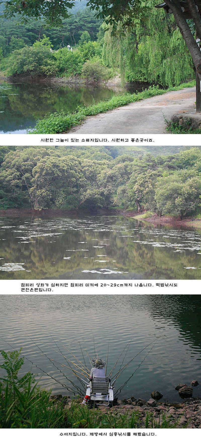 청도권 주중 조황정보 (조황조행기 - 특파원조황)