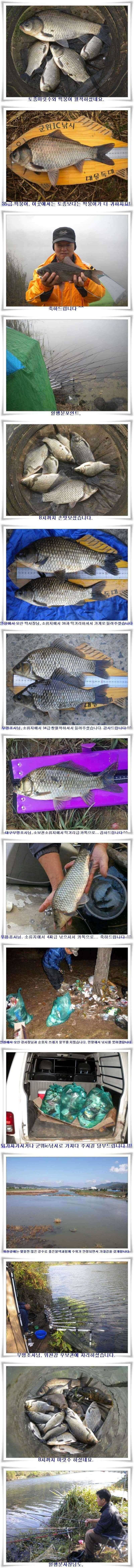 만추의 군위권 조황 (조황조행기 - 특파원조황)