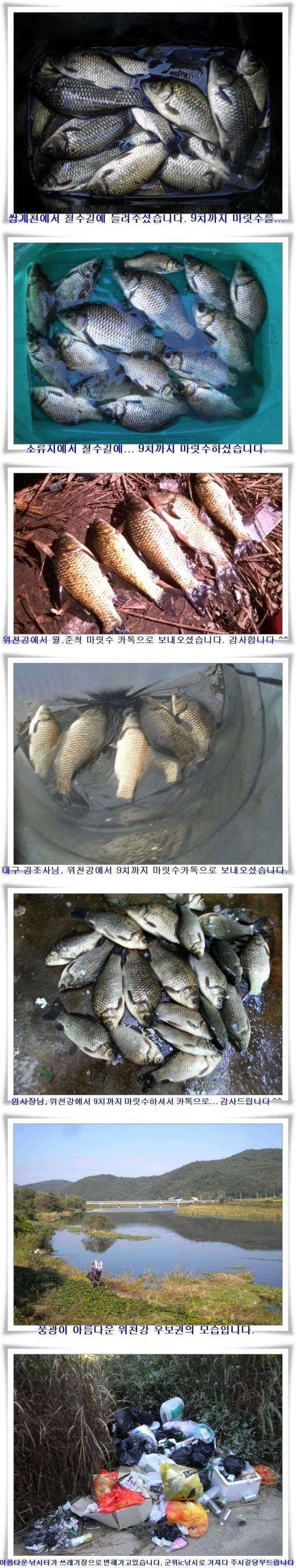 만추의 군위권 조황 (조황조행기 - 특파원조황)