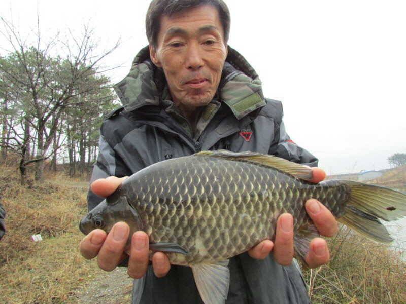 풍성한 3월4째주 조황입니다 (조황조행기 - 특파원조황)