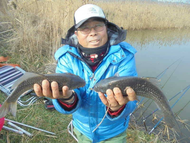 1227 안면도권 저수지 및 수로 주말 조황 (조황조행기 - 특파원조황)