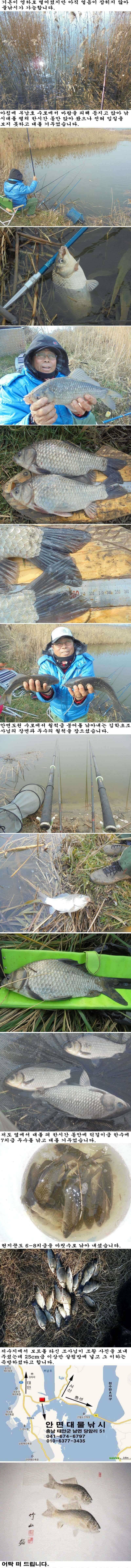1227 안면도권 저수지 및 수로 주말 조황 (조황조행기 - 특파원조황)