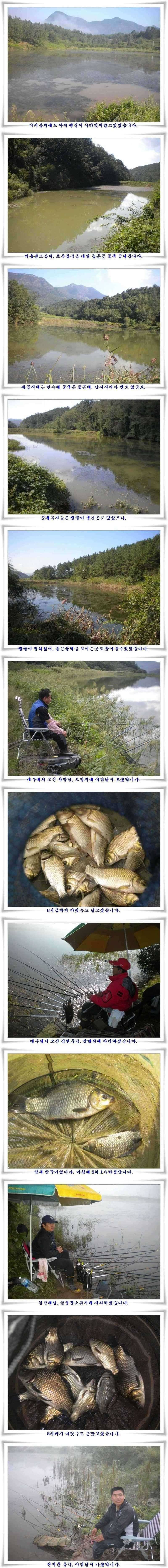 현지상황입니다 (조황조행기 - 특파원조황)
