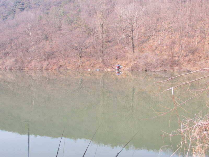풍성한 3월4째주 조황입니다 (조황조행기 - 특파원조황)