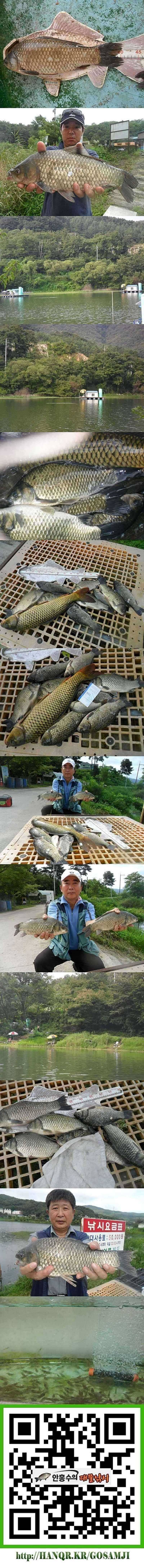 덕산지 4짜를 비롯한 대물들 (조황조행기 - 특파원조황)