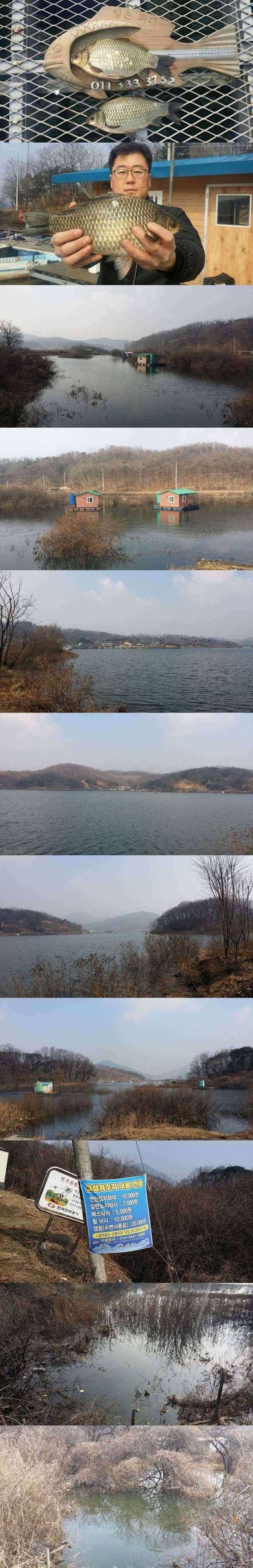 고삼지 대물들 입질 시작하였습니다 (조황조행기 - 특파원조황)