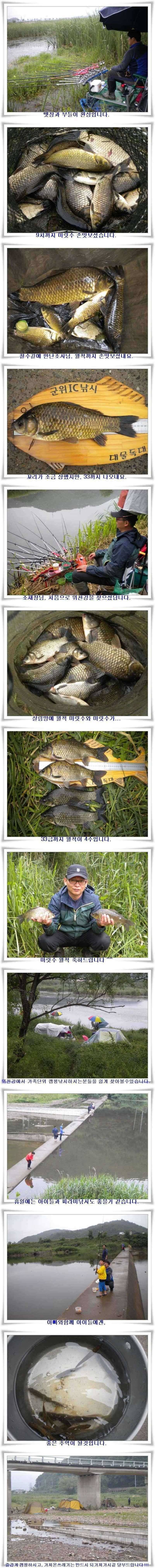 갈수기 4짜와 위천강 월준척 마릿수 (조황조행기 - 특파원조황)