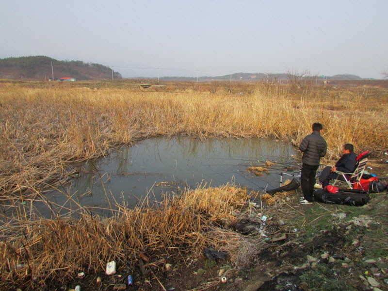 풍성한 3월4째주 조황입니다 (조황조행기 - 특파원조황)