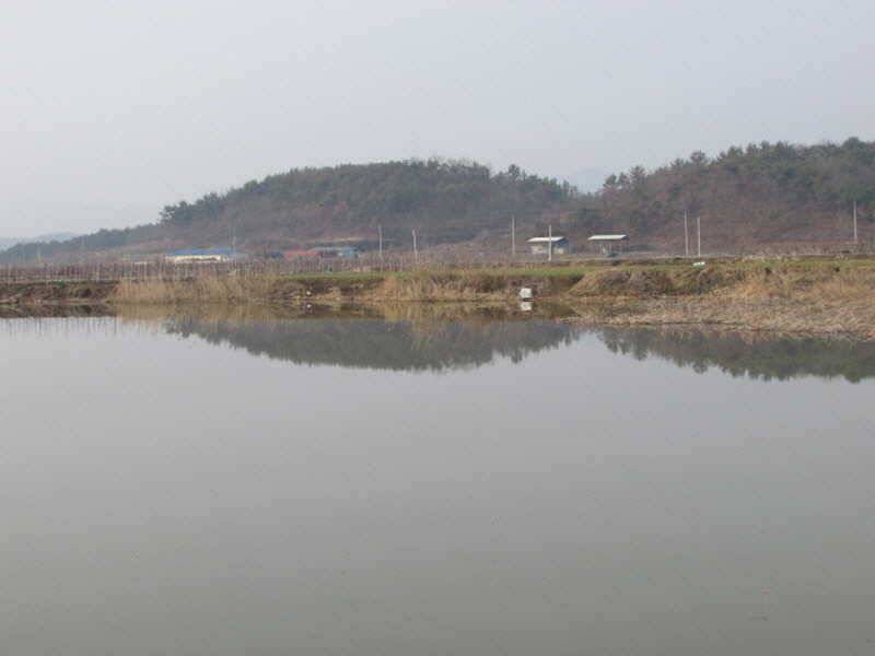 풍성한 3월4째주 조황입니다 (조황조행기 - 특파원조황)