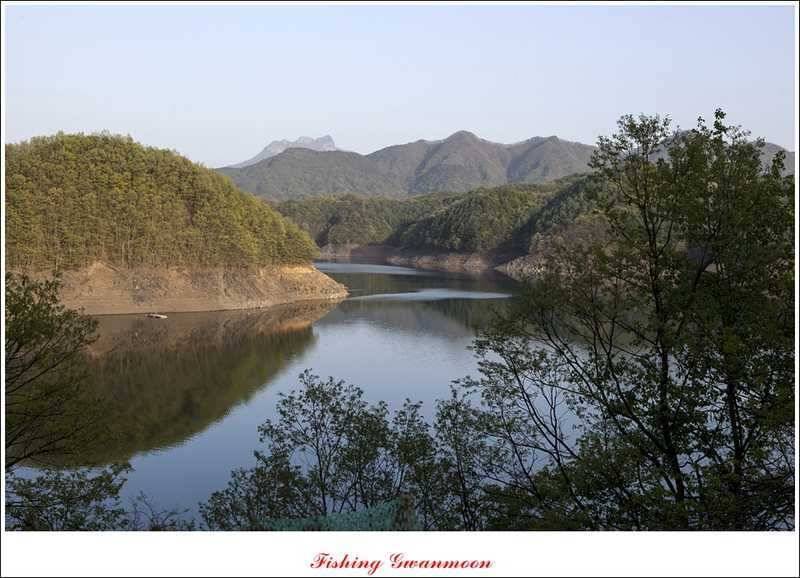 충주호 노지 38 cm저수지 사짜들 (조황조행기 - 특파원조황)