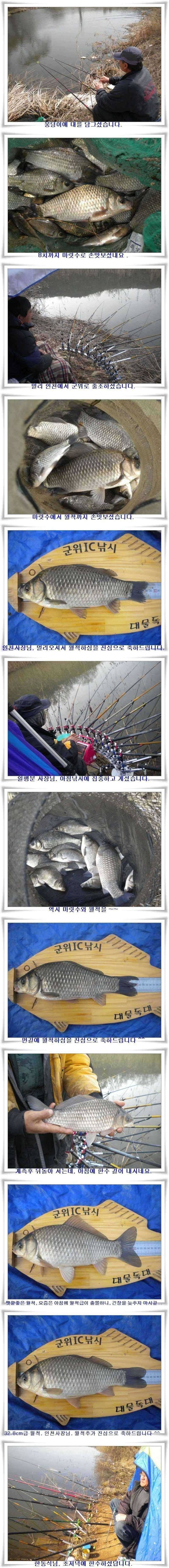 마릿수에 대물까지 (조황조행기 - 특파원조황)