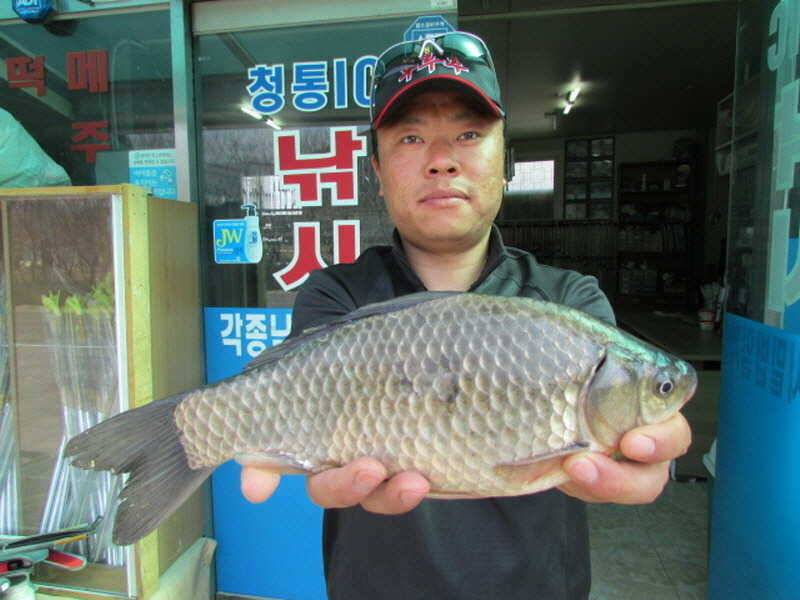 풍성한 3월4째주 조황입니다 (조황조행기 - 특파원조황)