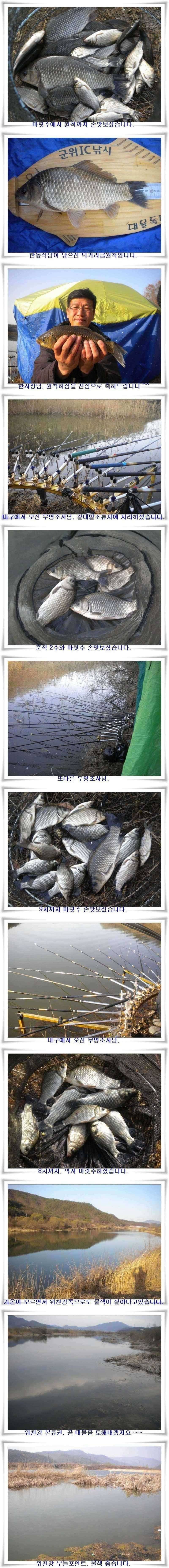 마릿수에 대물까지 (조황조행기 - 특파원조황)