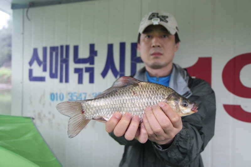 충주호 신매리낚시터 조황 (조황조행기 - 특파원조황)