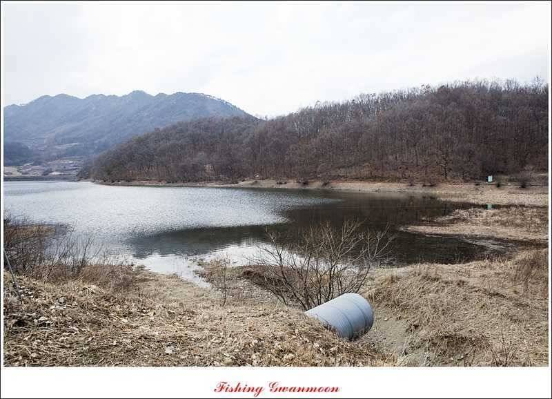 충주괴산권 조황 소식 (조황조행기 - 특파원조황)