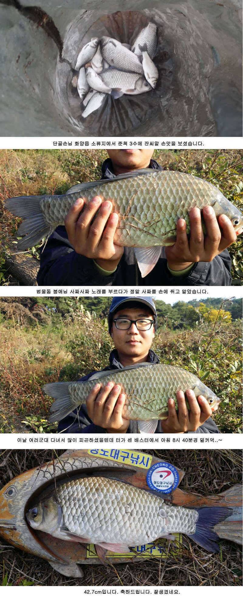 청도권 주중 조황정보 42 (조황조행기 - 특파원조황)