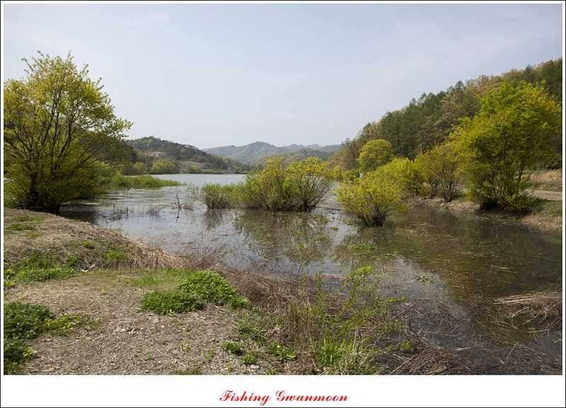 충주호 노지 38 cm저수지 사짜들 (조황조행기 - 특파원조황)