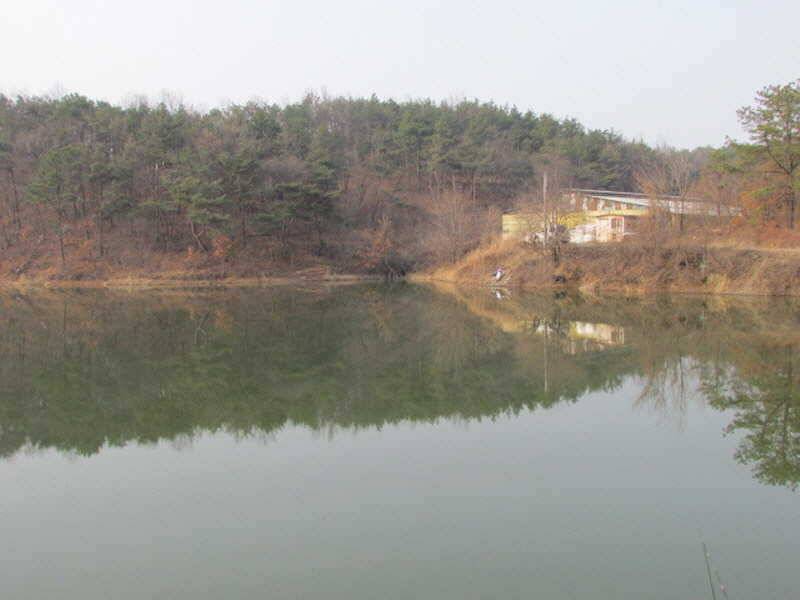 풍성한 3월4째주 조황입니다 (조황조행기 - 특파원조황)