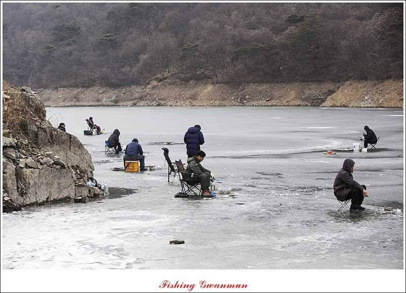 충주괴산권 결빙 상태와 빙어 낚시 (조황조행기 - 특파원조황)