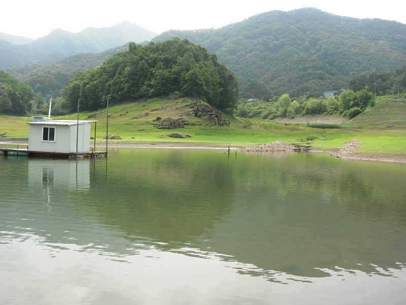 충주호 병호낚시터 소식 (조황조행기 - 특파원조황)