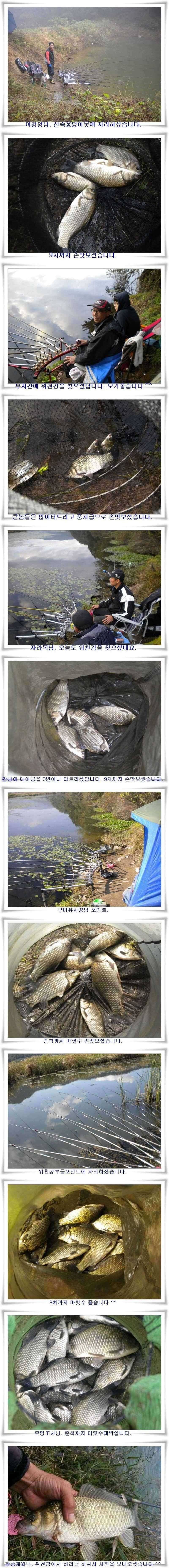 추워지면 대물들이 (조황조행기 - 특파원조황)