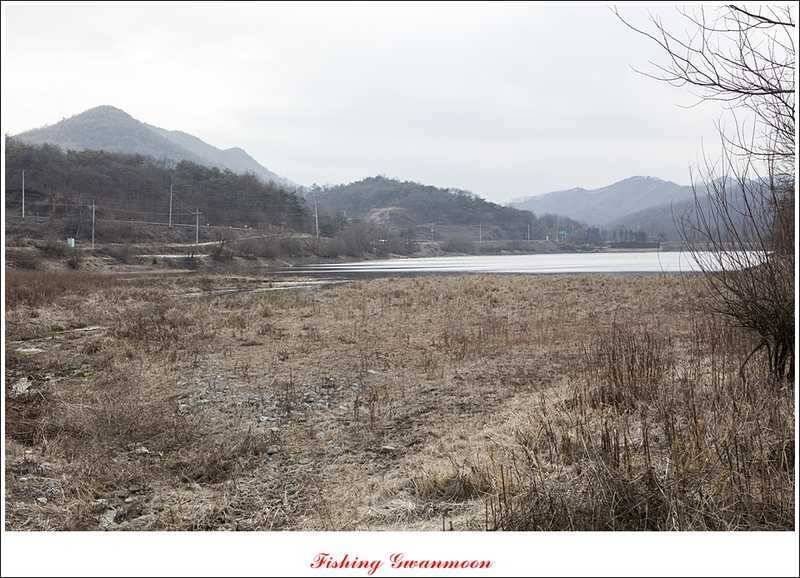 충주괴산권 조황 소식 (조황조행기 - 특파원조황)