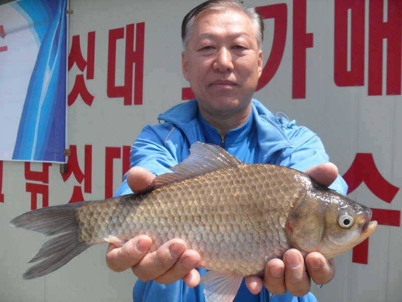 대박 또 대박 (조황조행기 - 특파원조황)