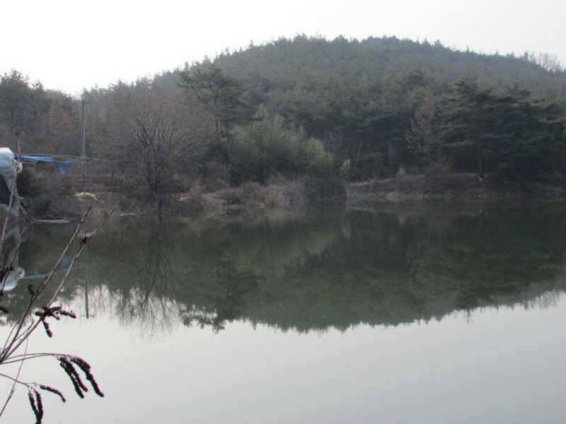 풍성한 3월4째주 조황입니다 (조황조행기 - 특파원조황)