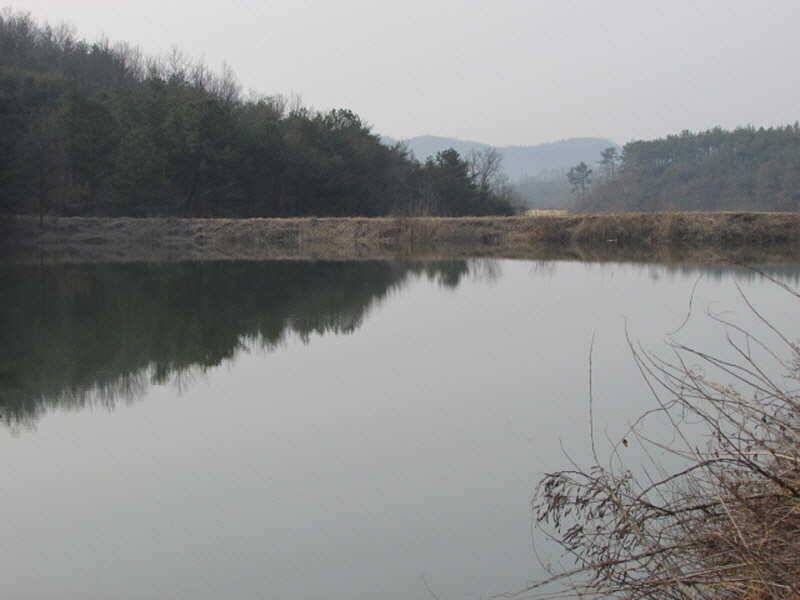 풍성한 3월4째주 조황입니다 (조황조행기 - 특파원조황)