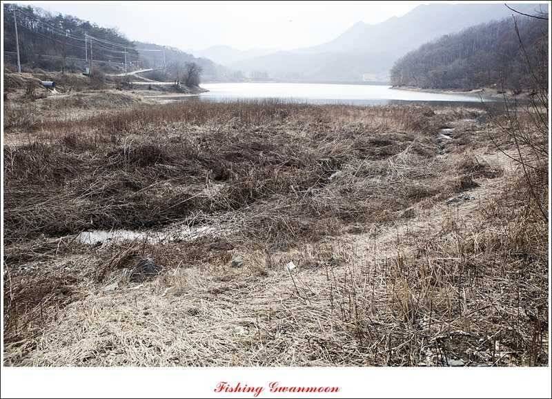 충주괴산권 조황 소식 (조황조행기 - 특파원조황)