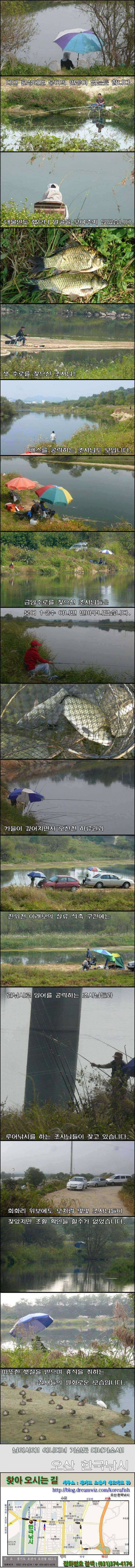 오산권 수로낚시의 변수 (조황조행기 - 특파원조황)