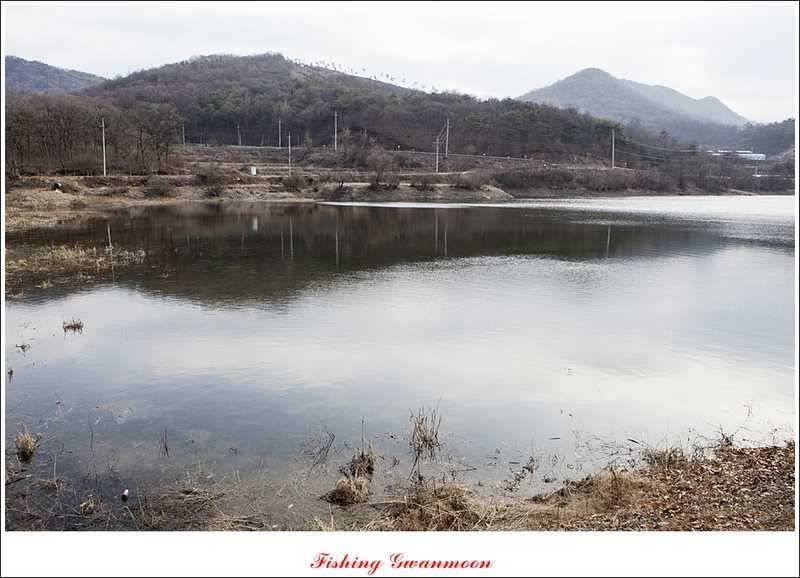 충주괴산권 조황 소식 (조황조행기 - 특파원조황)