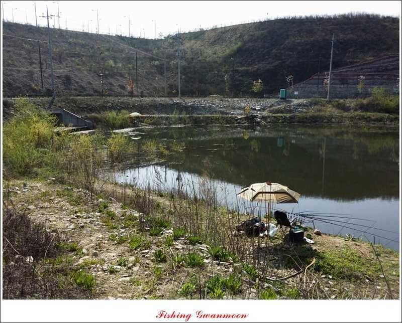 화곡지 조황 (조황조행기 - 특파원조황)
